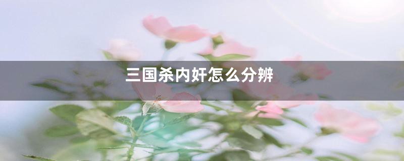 三国杀内奸怎么分辨