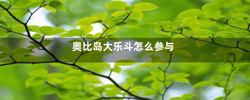 奥比岛大乐斗怎么参与