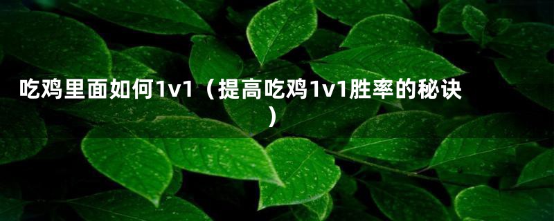 吃鸡里面如何1v1（提高吃鸡1v1胜率的秘诀）