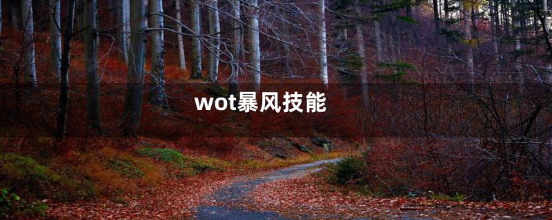 wot暴风技能