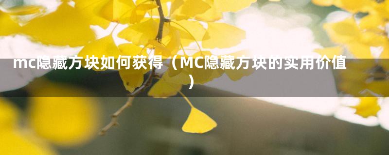 mc隐藏方块如何获得（MC隐藏方块的实用价值）