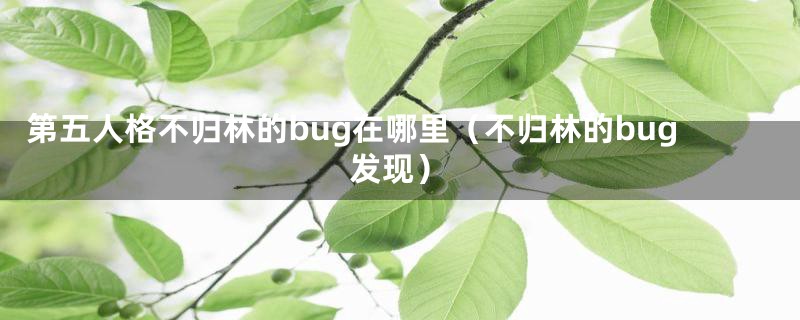 第五人格不归林的bug在哪里（不归林的bug发现）