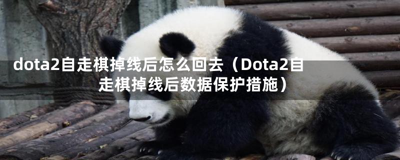 dota2自走棋掉线后怎么回去（Dota2自走棋掉线后数据保护措施）