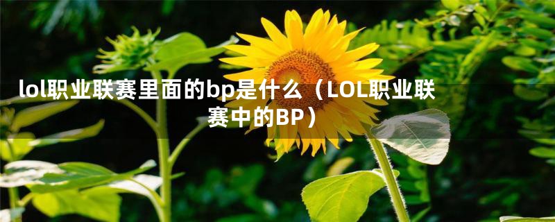 lol职业联赛里面的bp是什么（LOL职业联赛中的BP）