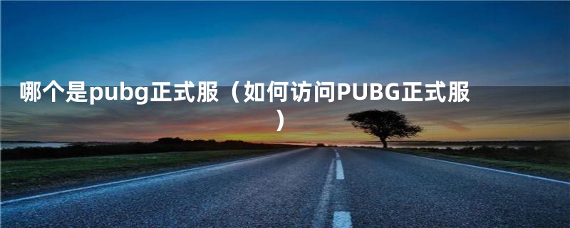 哪个是pubg正式服（如何访问PUBG正式服）