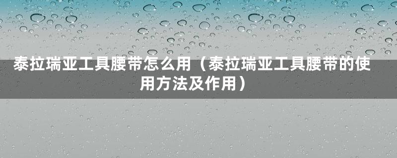 泰拉瑞亚工具腰带怎么用（泰拉瑞亚工具腰带的使用方法及作用）