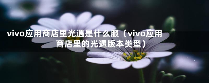 vivo应用商店里光遇是什么服（vivo应用商店里的光遇版本类型）