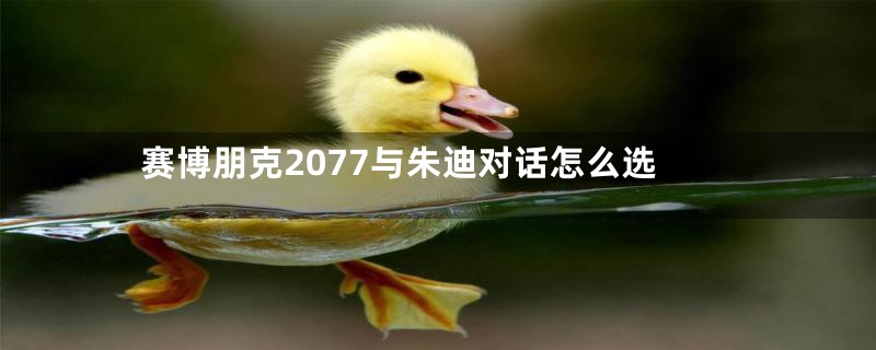 赛博朋克2077与朱迪对话怎么选