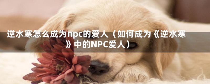 逆水寒怎么成为npc的爱人（如何成为《逆水寒》中的NPC爱人）