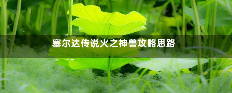 塞尔达传说火之神兽攻略思路