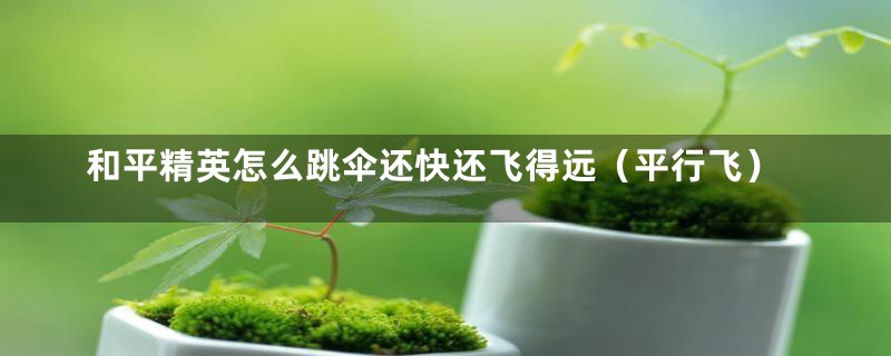 和平精英怎么跳伞还快还飞得远（平行飞）