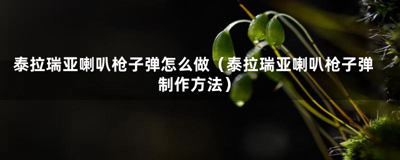 泰拉瑞亚喇叭枪子弹怎么做（泰拉瑞亚喇叭枪子弹制作方法）