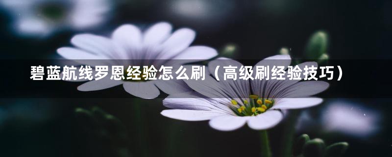 碧蓝航线罗恩经验怎么刷（高级刷经验技巧）