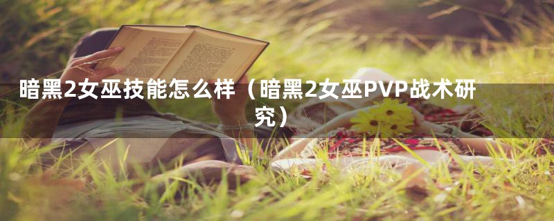 暗黑2女巫技能怎么样（暗黑2女巫PVP战术研究）