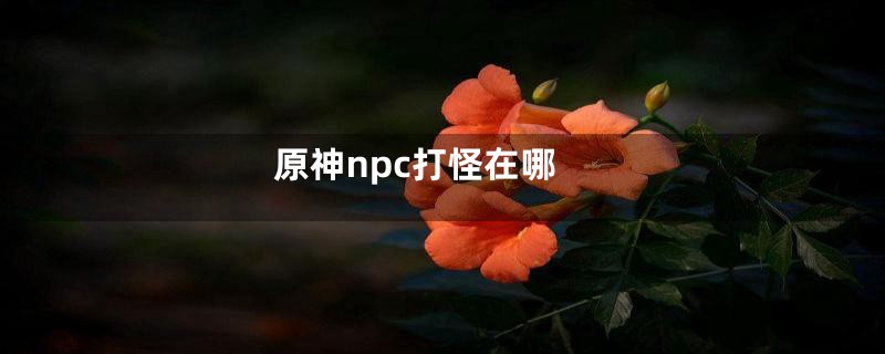 原神npc打怪在哪