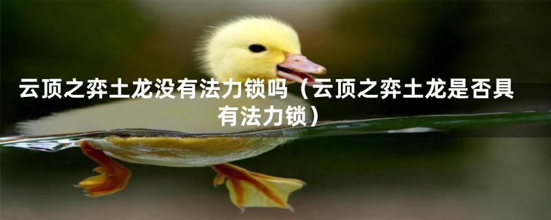 云顶之弈土龙没有法力锁吗（云顶之弈土龙是否具有法力锁）