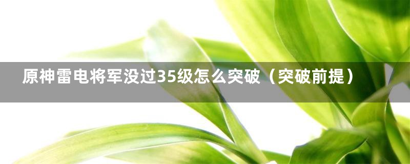 原神雷电将军没过35级怎么突破（突破前提）