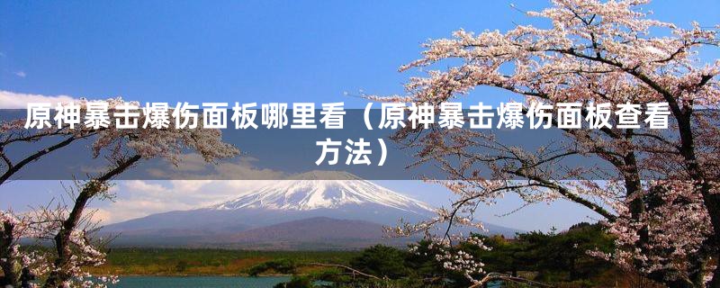 原神暴击爆伤面板哪里看（原神暴击爆伤面板查看方法）