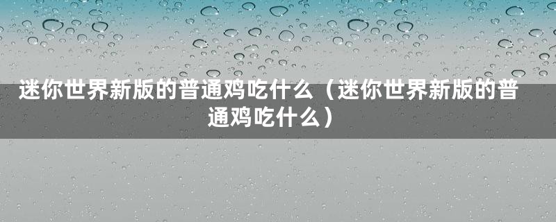 迷你世界新版的普通鸡吃什么（迷你世界新版的普通鸡吃什么）