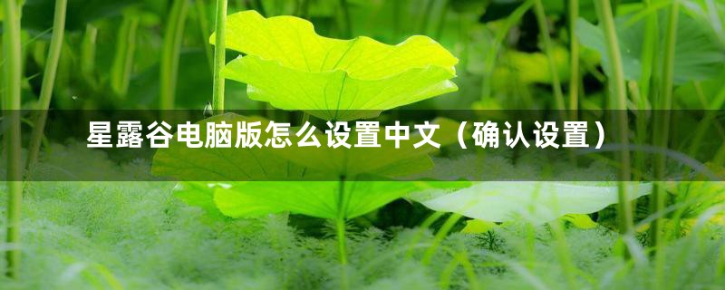 星露谷电脑版怎么设置中文（确认设置）