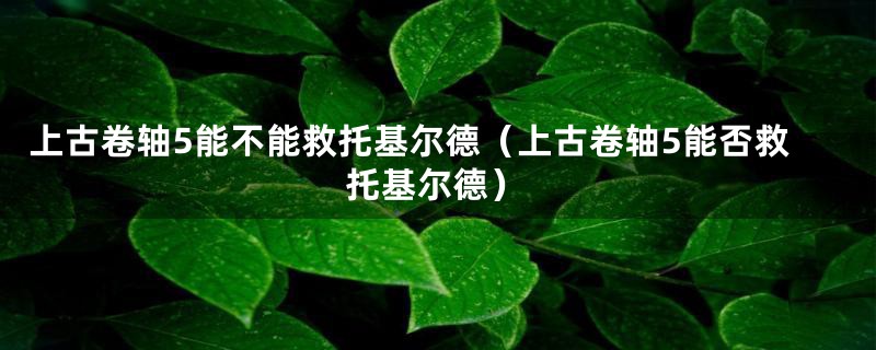 上古卷轴5能不能救托基尔德（上古卷轴5能否救托基尔德）