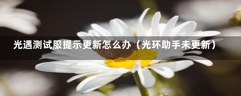 光遇测试服提示更新怎么办（光环助手未更新）