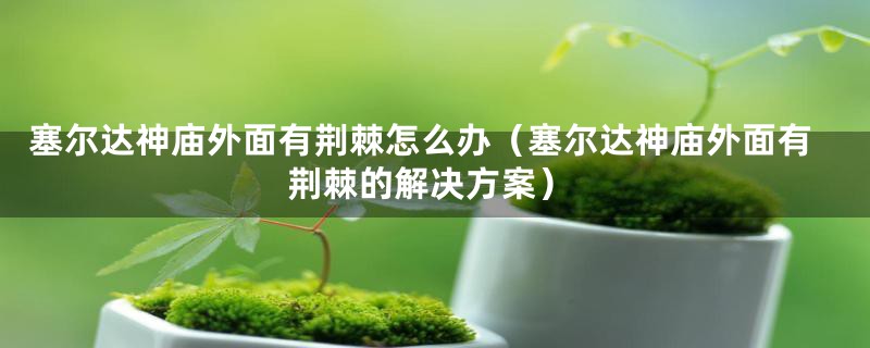 塞尔达神庙外面有荆棘怎么办（塞尔达神庙外面有荆棘的解决方案）