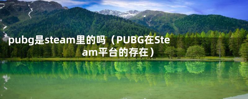 pubg是steam里的吗（PUBG在Steam平台的存在）