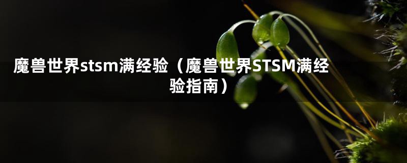 魔兽世界stsm满经验（魔兽世界STSM满经验指南）