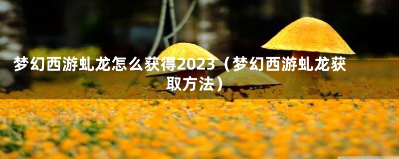 梦幻西游虬龙怎么获得2023（梦幻西游虬龙获取方法）