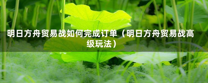 明日方舟贸易战如何完成订单（明日方舟贸易战高级玩法）