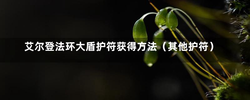 艾尔登法环大盾护符获得方法（其他护符）