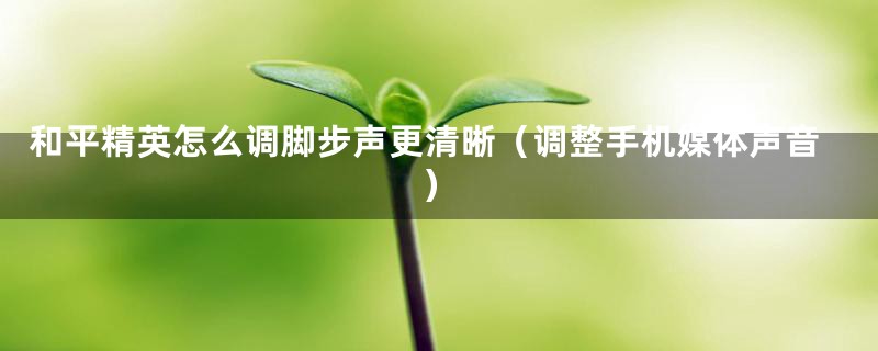 和平精英怎么调脚步声更清晰（调整手机媒体声音）