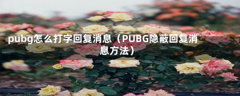 pubg怎么打字回复消息（PUBG隐蔽回复消息方法）