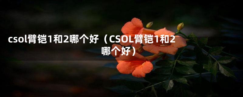 csol臂铠1和2哪个好（CSOL臂铠1和2哪个好）