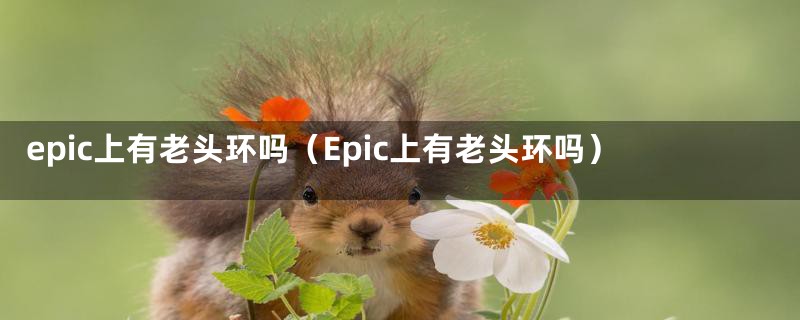 epic上有老头环吗（Epic上有老头环吗）