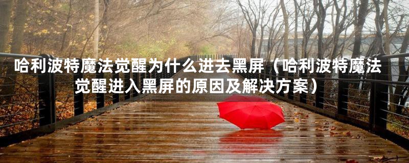 哈利波特魔法觉醒为什么进去黑屏（哈利波特魔法觉醒进入黑屏的原因及解决方案）