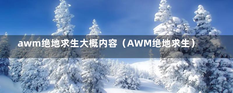 awm绝地求生大概内容（AWM绝地求生）