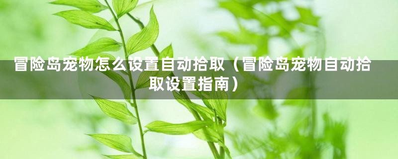 冒险岛宠物怎么设置自动拾取（冒险岛宠物自动拾取设置指南）