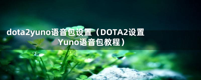 dota2yuno语音包设置（DOTA2设置Yuno语音包教程）