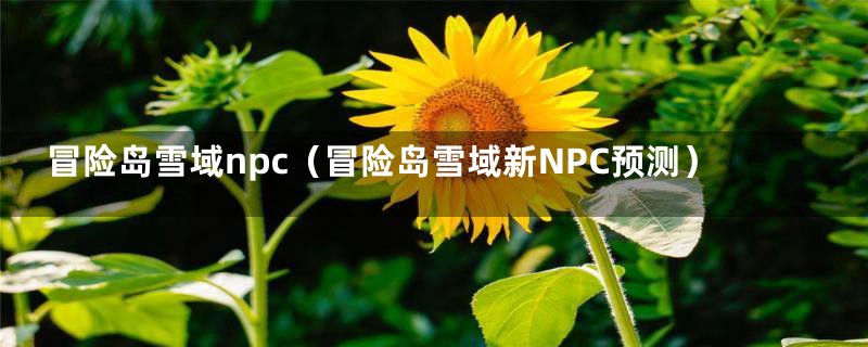 冒险岛雪域npc（冒险岛雪域新NPC预测）