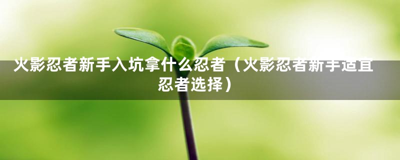 火影忍者新手入坑拿什么忍者（火影忍者新手适宜忍者选择）