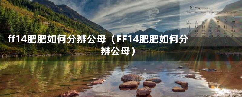 ff14肥肥如何分辨公母（FF14肥肥如何分辨公母）