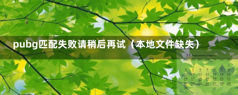 pubg匹配失败请稍后再试（本地文件缺失）