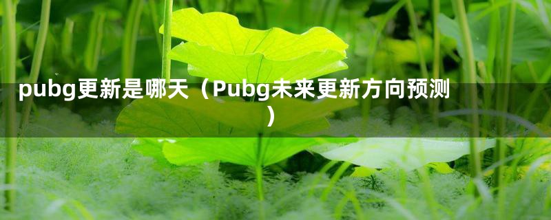 pubg更新是哪天（Pubg未来更新方向预测）