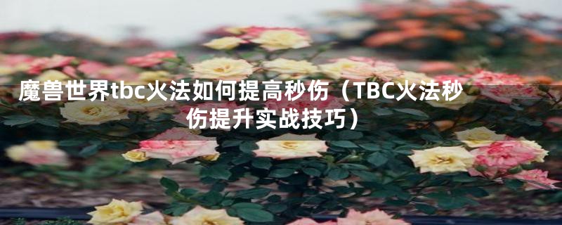 魔兽世界tbc火法如何提高秒伤（TBC火法秒伤提升实战技巧）