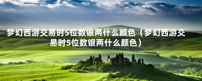 梦幻西游交易时5位数银两什么颜色（梦幻西游交易时5位数银两什么颜色）