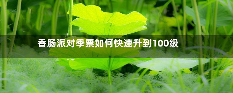 香肠派对季票如何快速升到100级