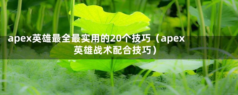 apex英雄最全最实用的20个技巧（apex英雄战术配合技巧）