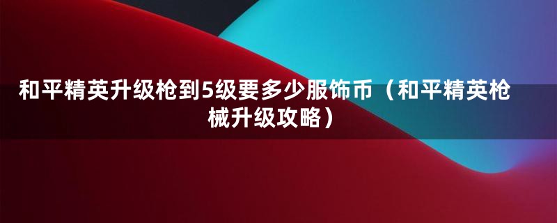 和平精英升级枪到5级要多少服饰币（和平精英枪械升级攻略）